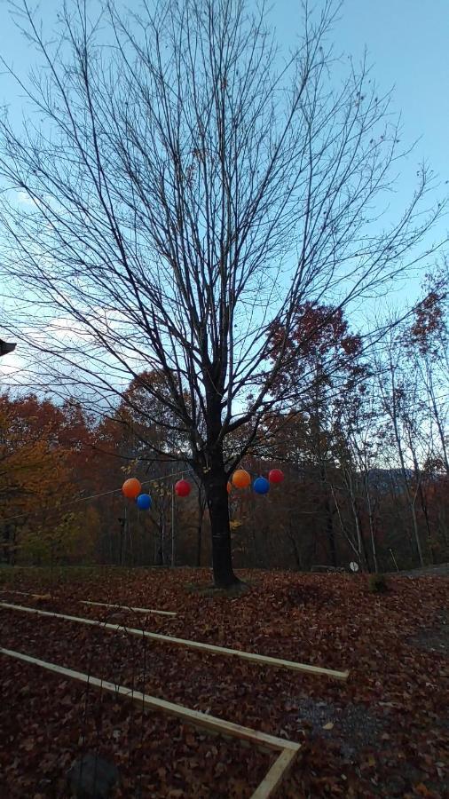 Up & Away! Mountain Cabin Villa Andrews Exterior foto